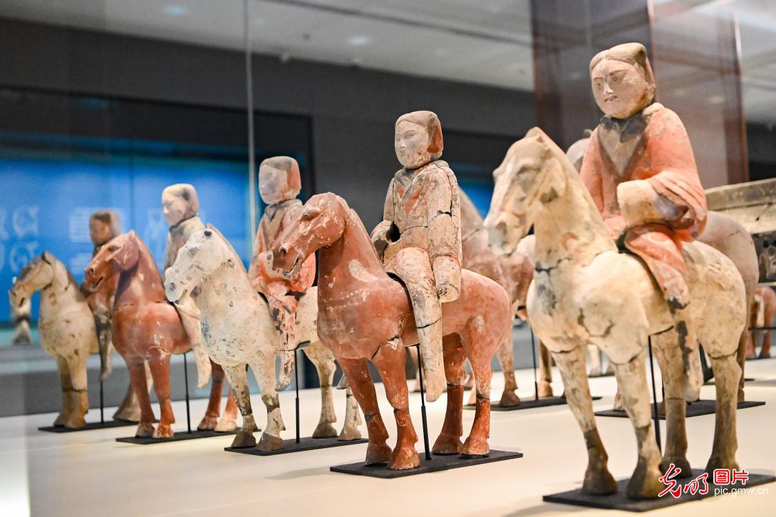 马年观文物 文脉润新春