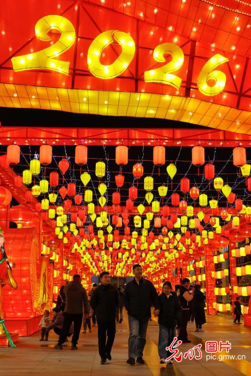 赏花灯 迎佳节