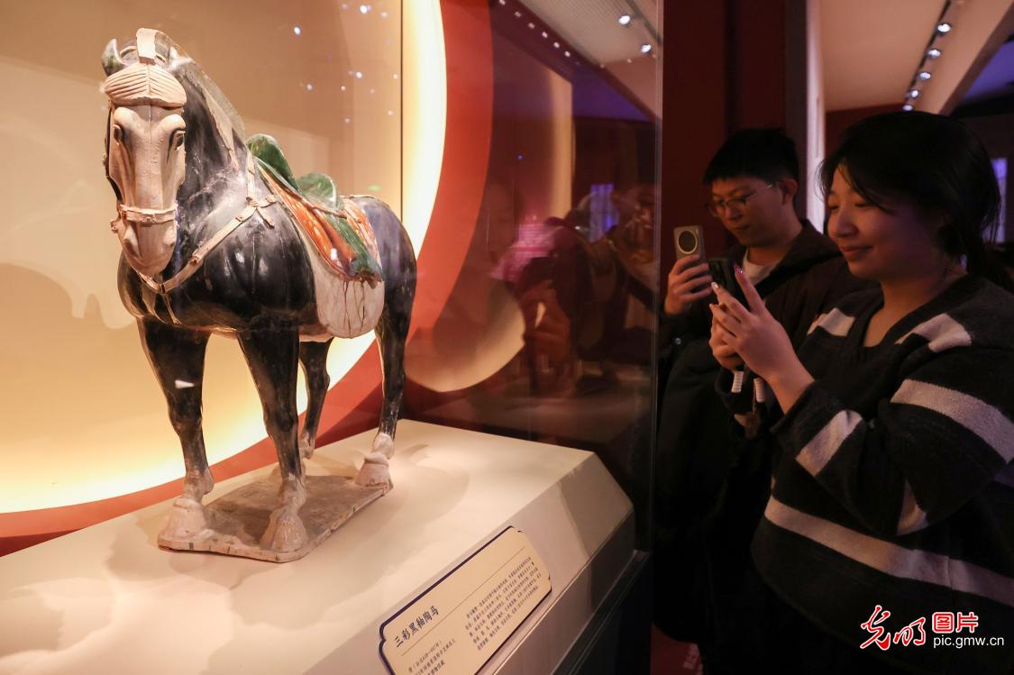 【新春走基层】博物馆里的“马元素” 【新春走基层】博物馆里的“马元素”
