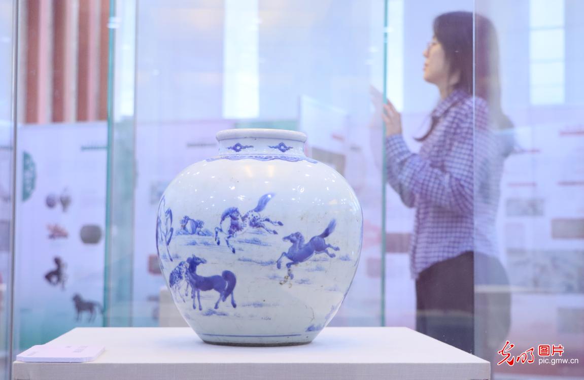 【新春走基层】博物馆里的“马元素” 【新春走基层】博物馆里的“马元素”