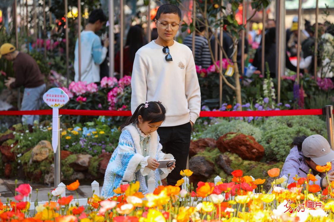 繁花似锦贺新春