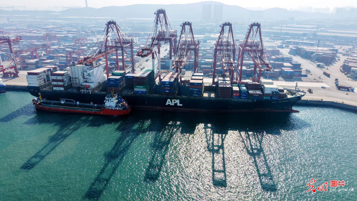 港口节日生产“快马扬鞭”