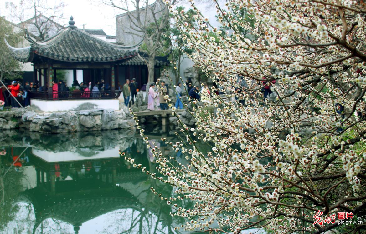 园林艺圃 春意盎然