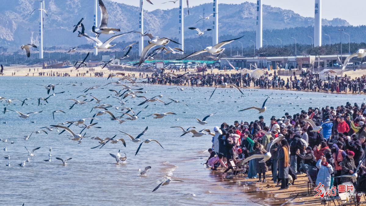 文旅市场热潮涌动