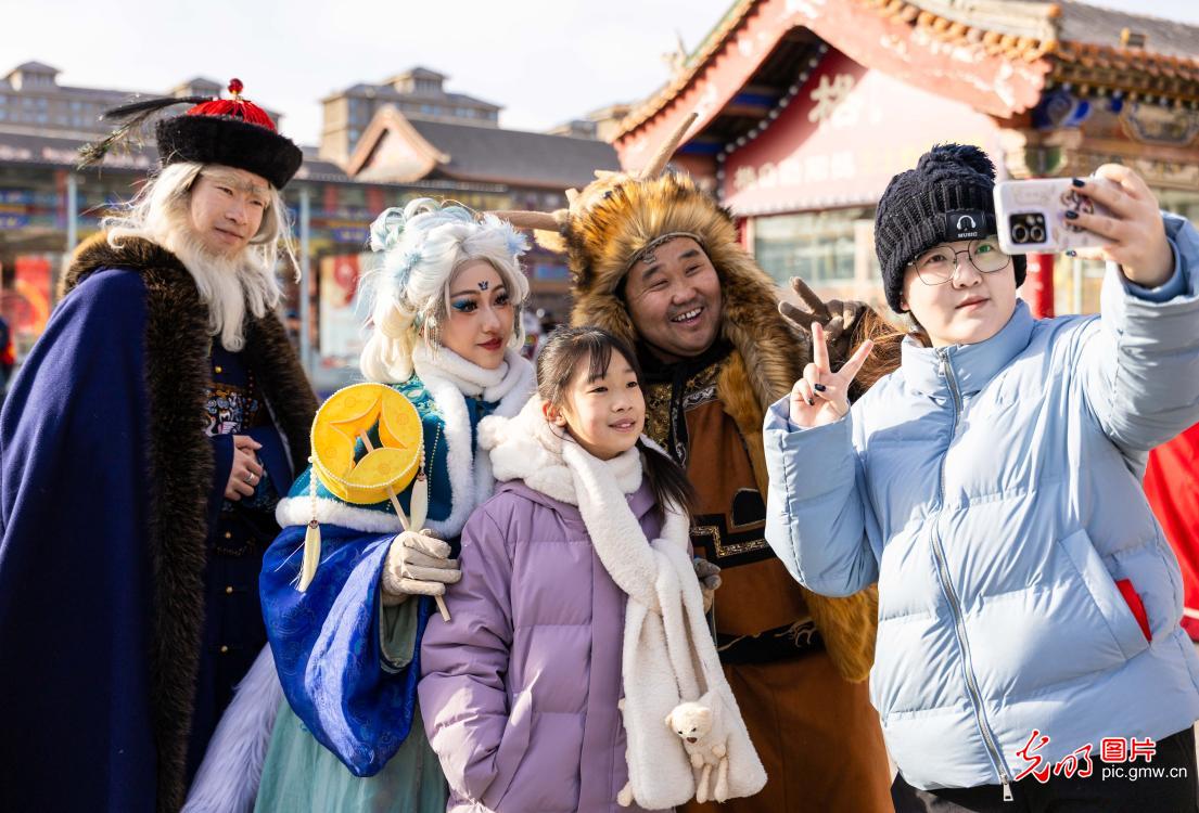 文化庙会贺新春