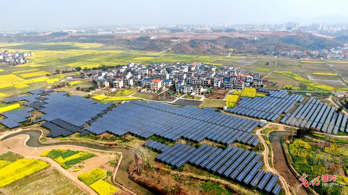 农光互补绘新景 生态产业两相宜