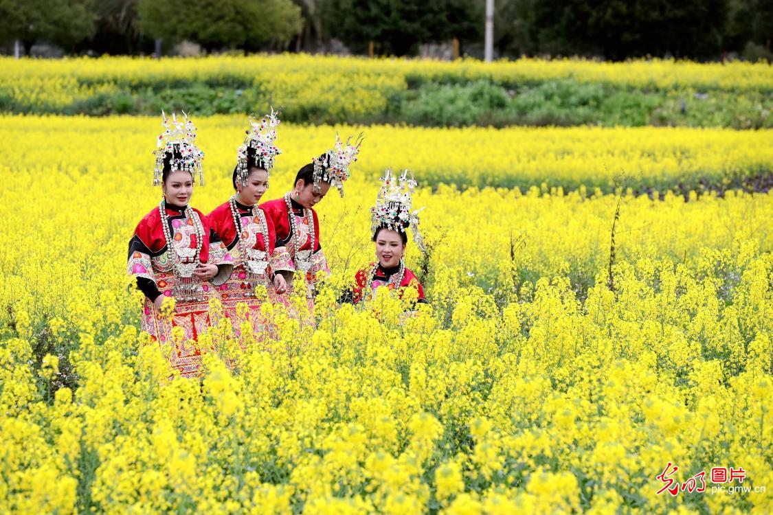 踏青赏花 乐享美好春光