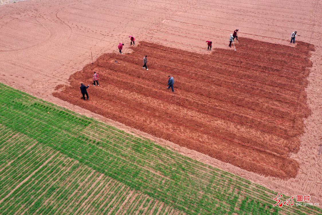 人勤春早农事忙