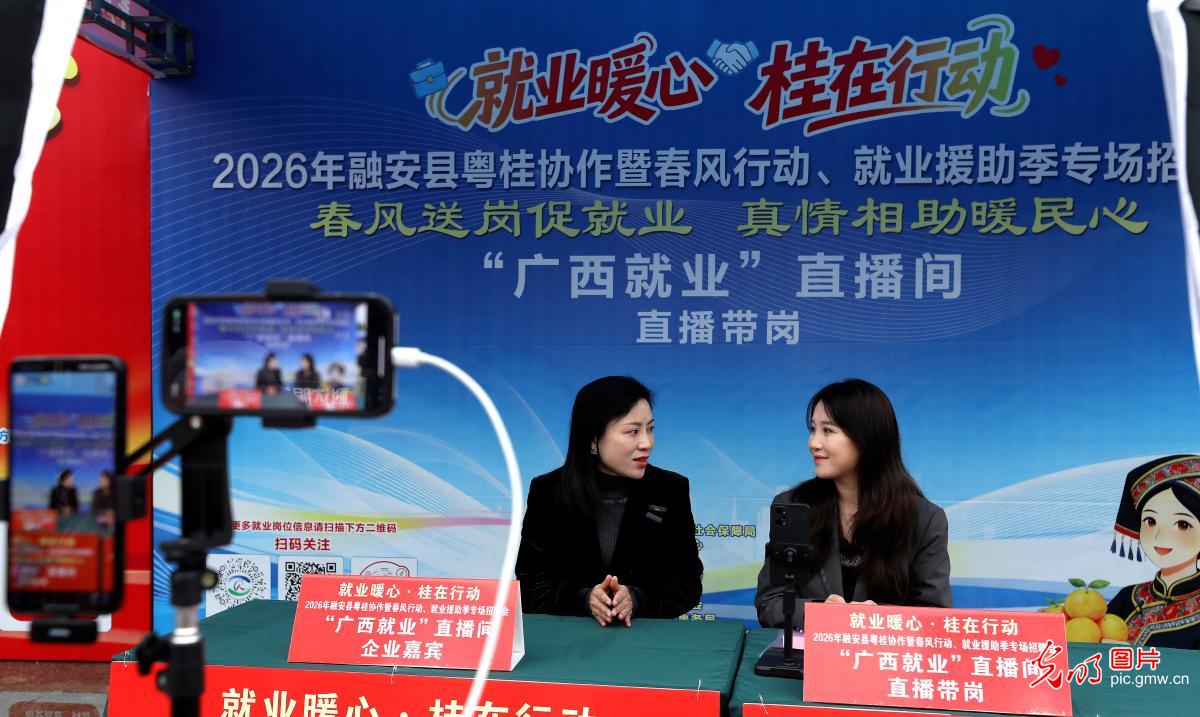 春招火热 精准就业 春招火热 精准就业