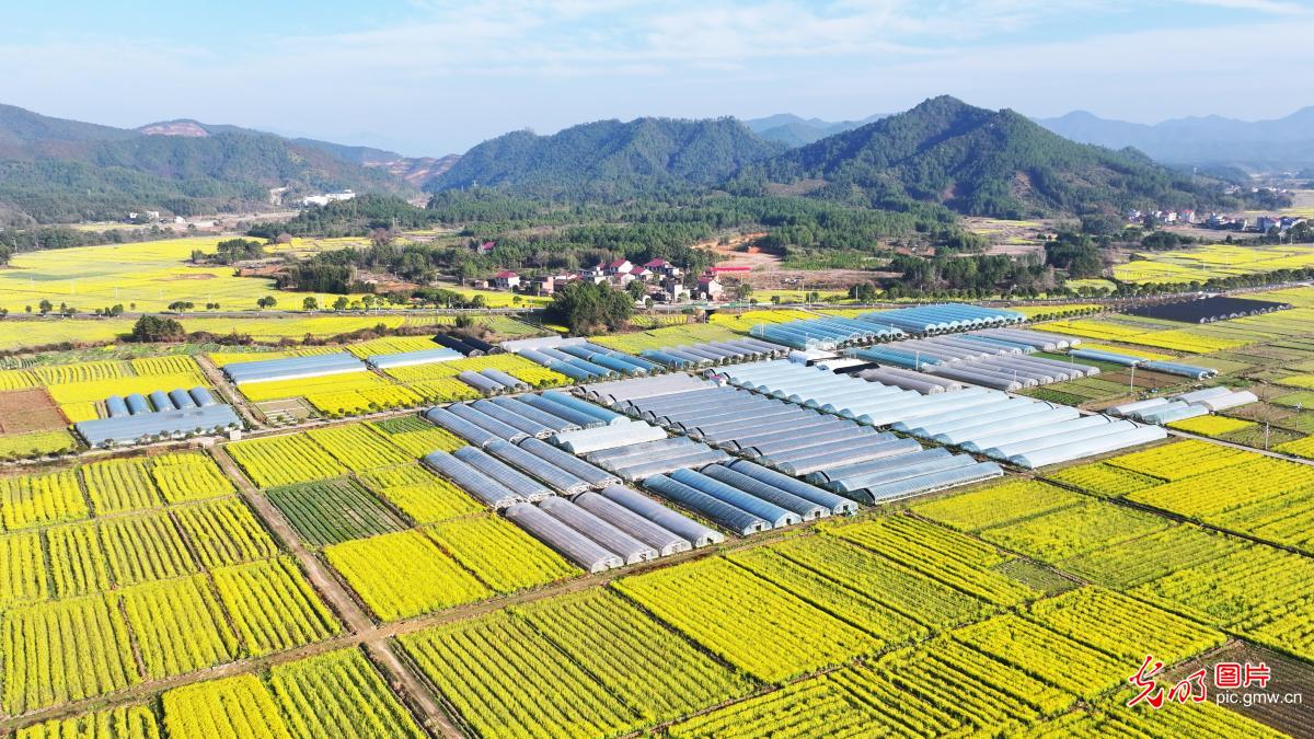 产业兴 田园美