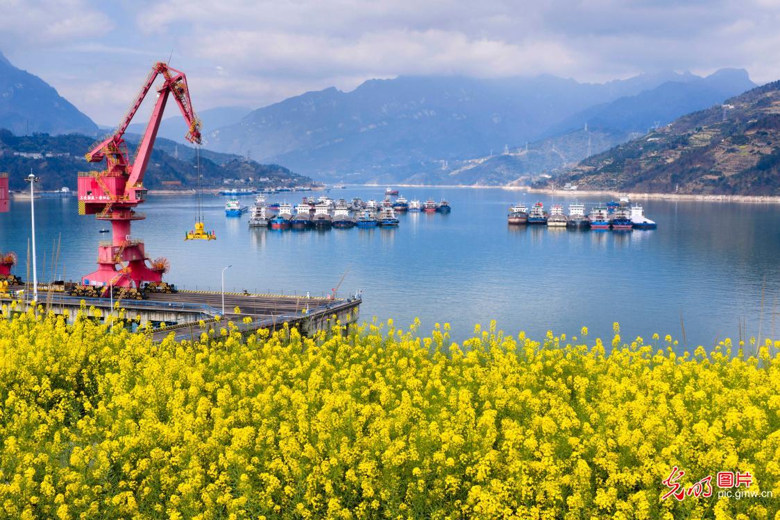 护一库碧水东流