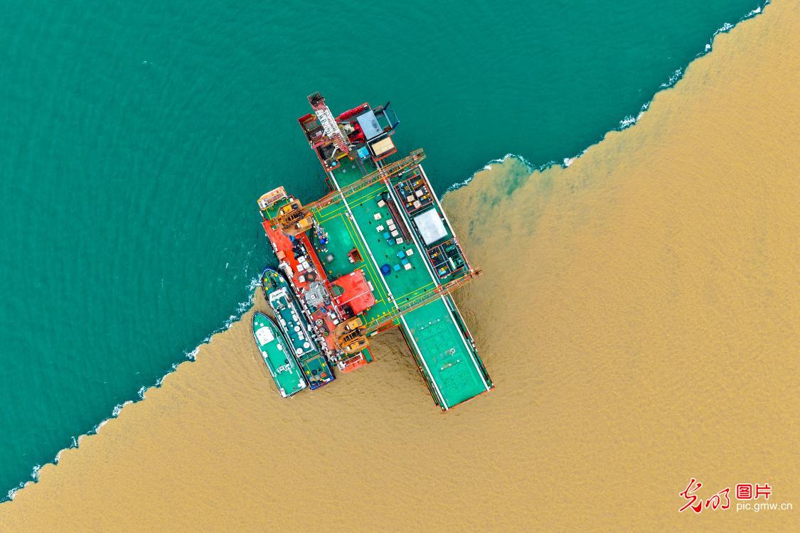 黄河入海处 绿金共潮生