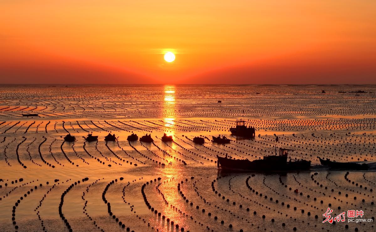牧海晨歌