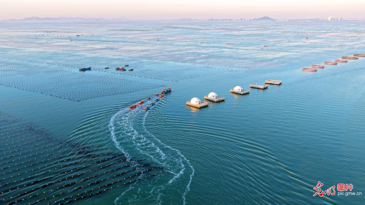 牧海晨歌