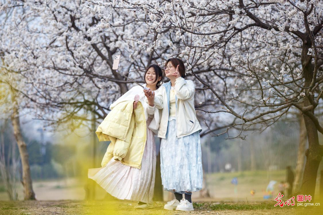 春和景明 共赴一场繁花之约