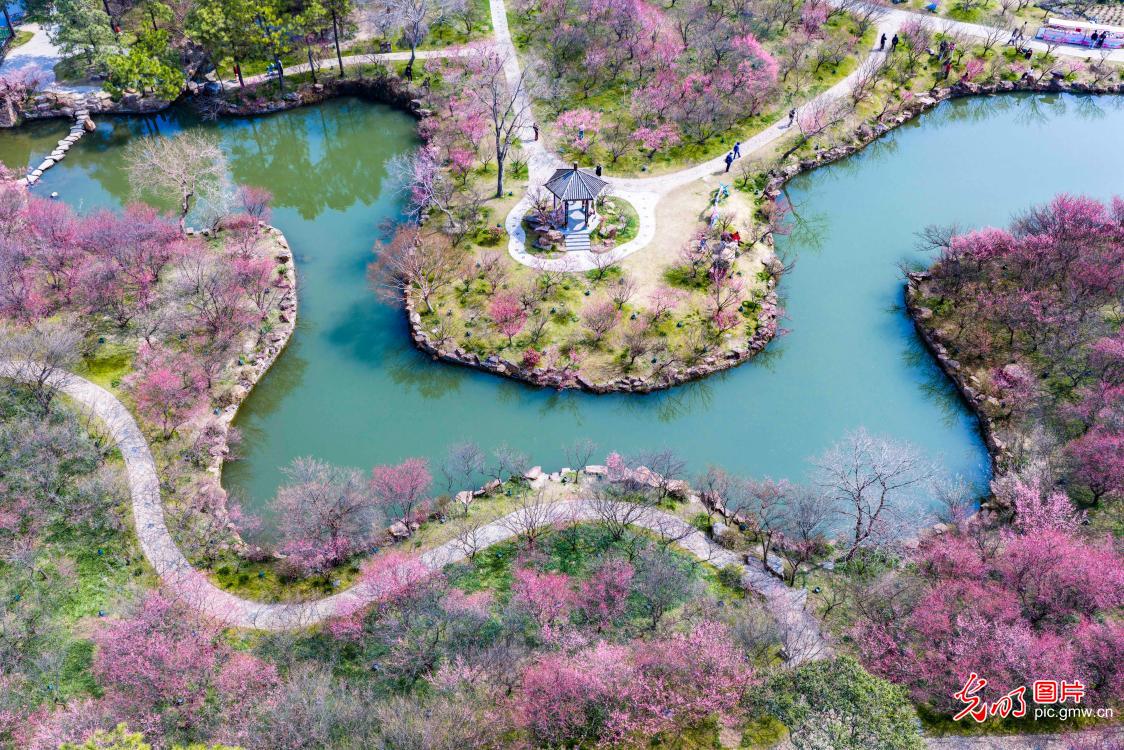 春和景明 共赴一场繁花之约