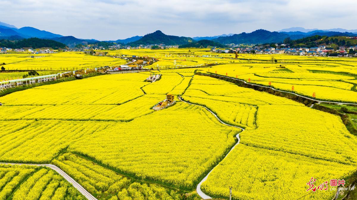 【大美中国·AIGC动画】走出家门 拥抱满屏春色
