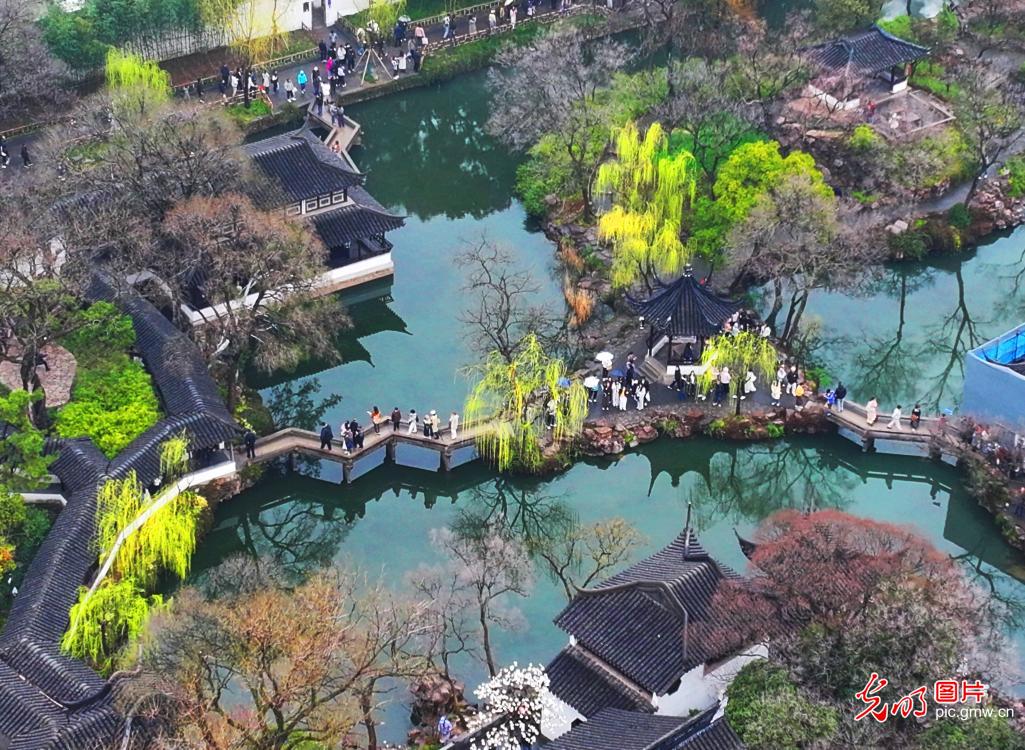 水墨园林春意浓