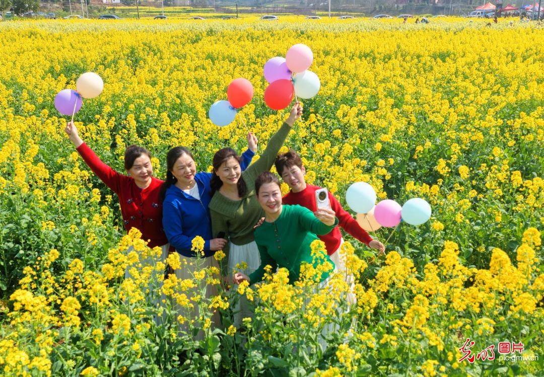 【AIGC动画】春天的顶流 是这片油菜花给的