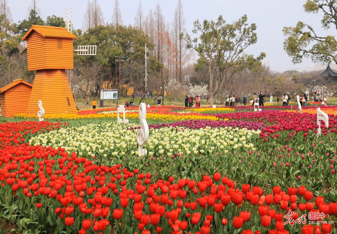 上方山百花绽放 苏州花展正式开展