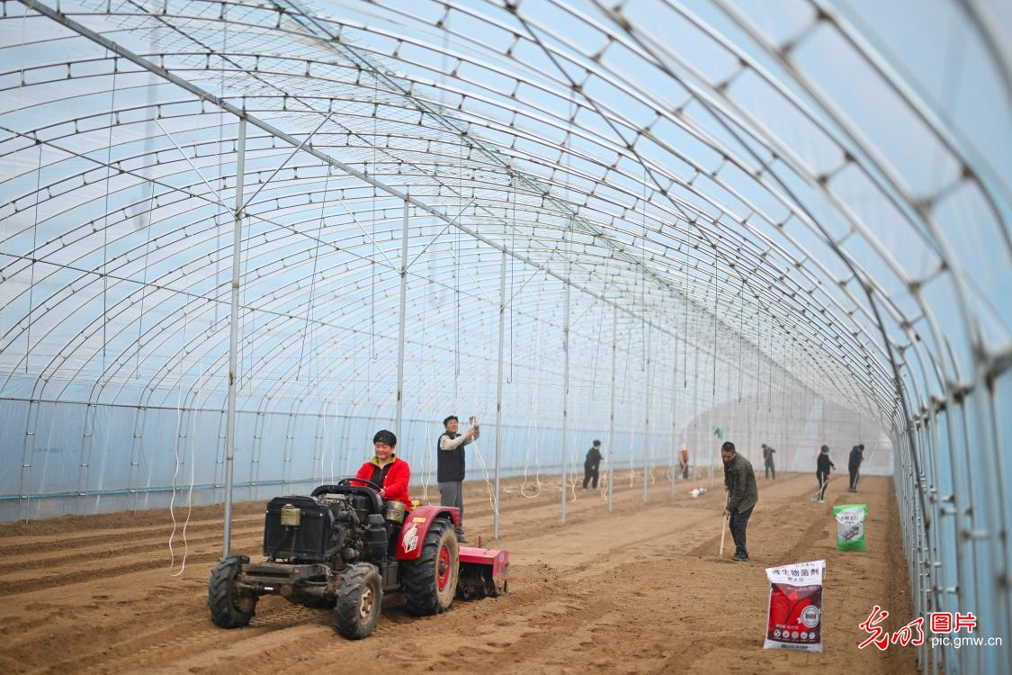 光明图片一周见报作品精选