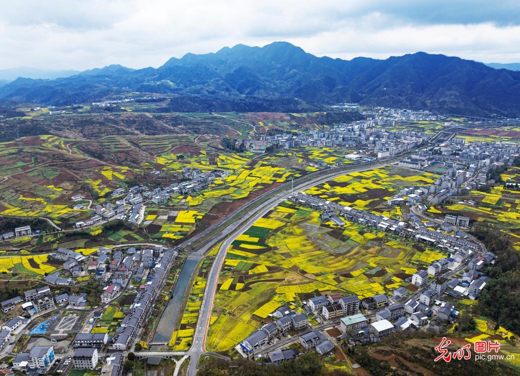 光明图片一周见报作品精选