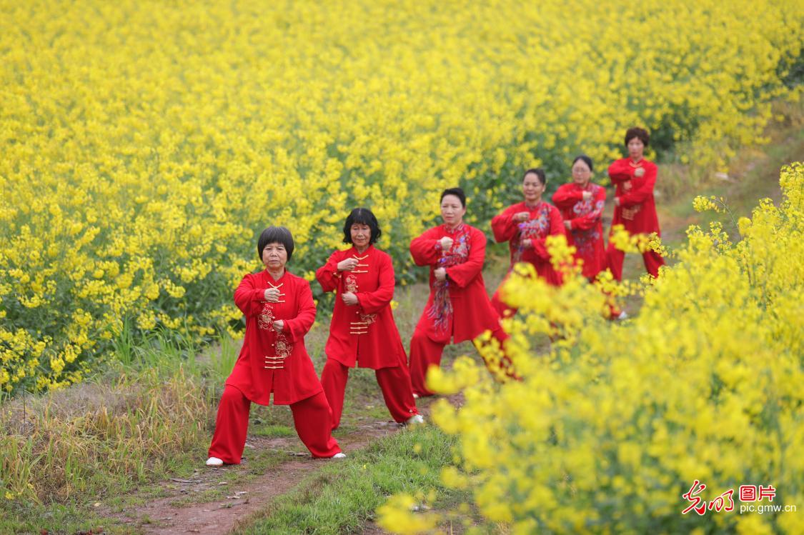 【国际太极拳日】太极传雅韵 健康共同行
