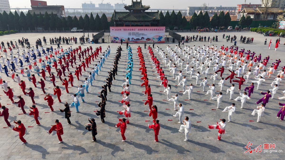 【国际太极拳日】太极传雅韵 健康共同行