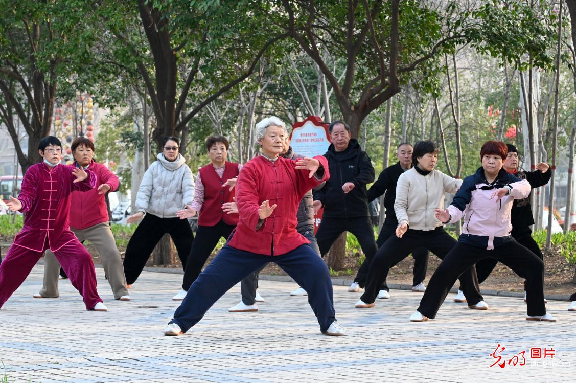 【国际太极拳日】太极传雅韵 健康共同行