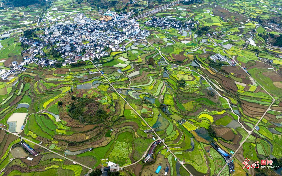 光明图片一周见报作品精选