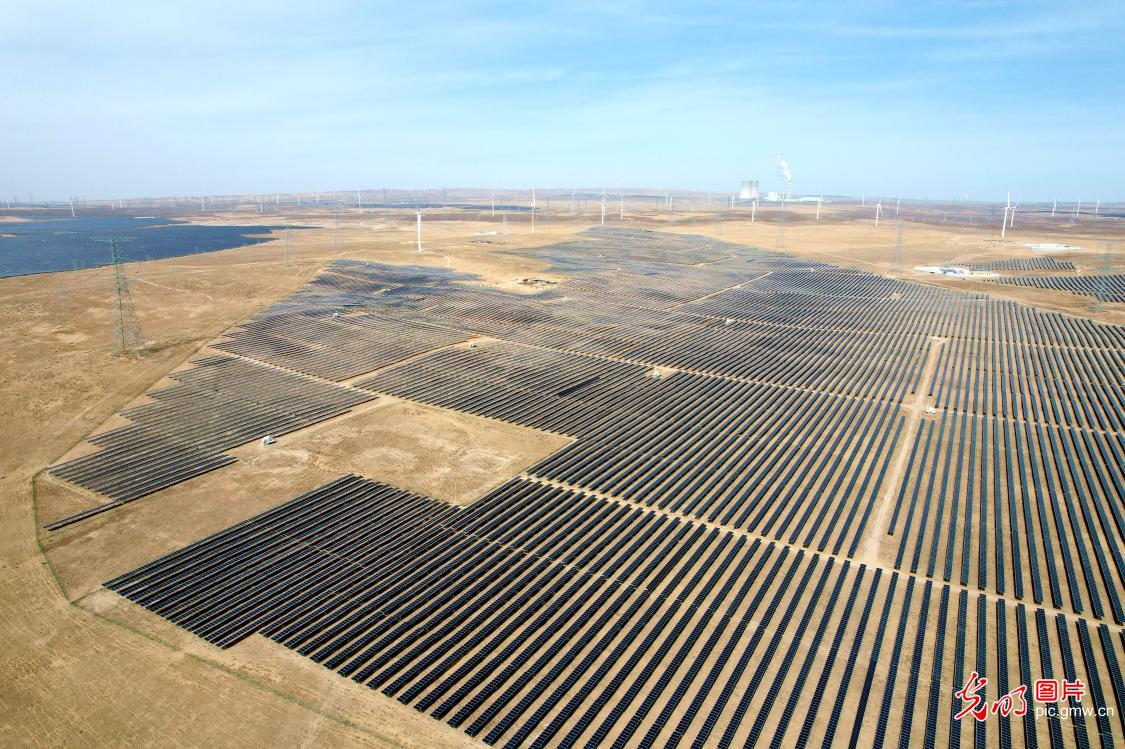 光明图片一周见报作品精选