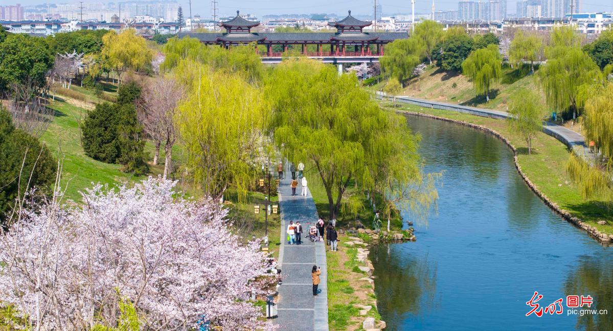 光明图片一周见报作品精选