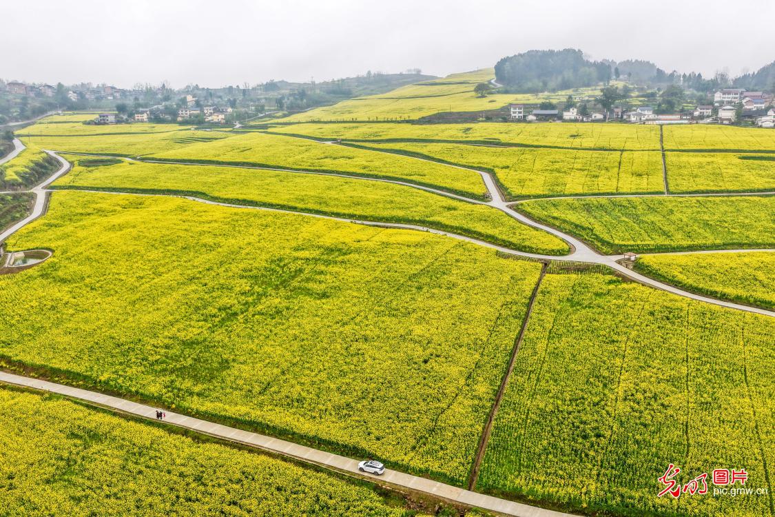光明图片一周见报作品精选