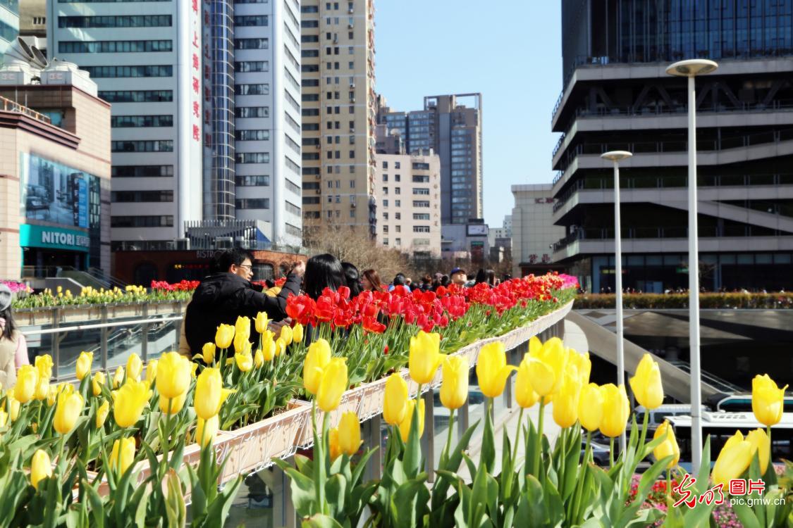 光明图片一周见报作品精选