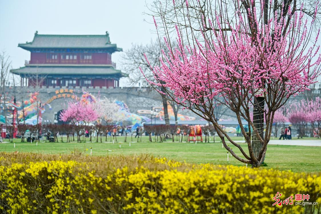 3月23日-29日光明图片一周见报作品精选