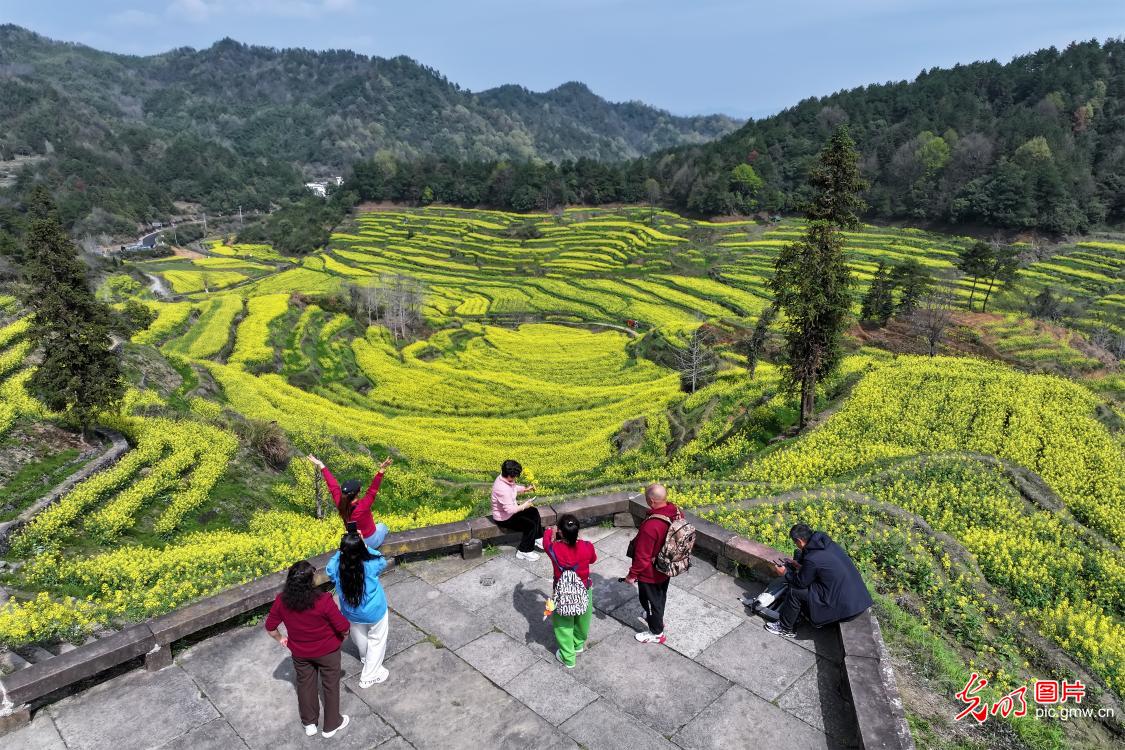灵山花开迎客来