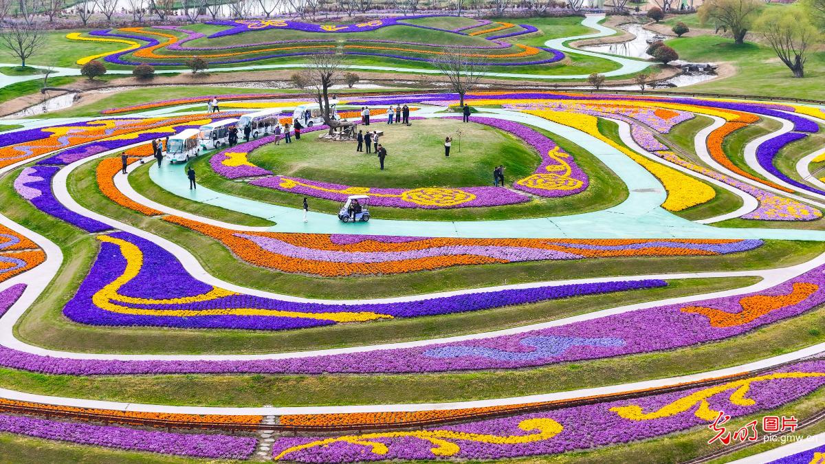 花田织锦绣