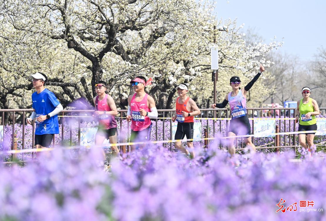 花间奔跑 打卡春天