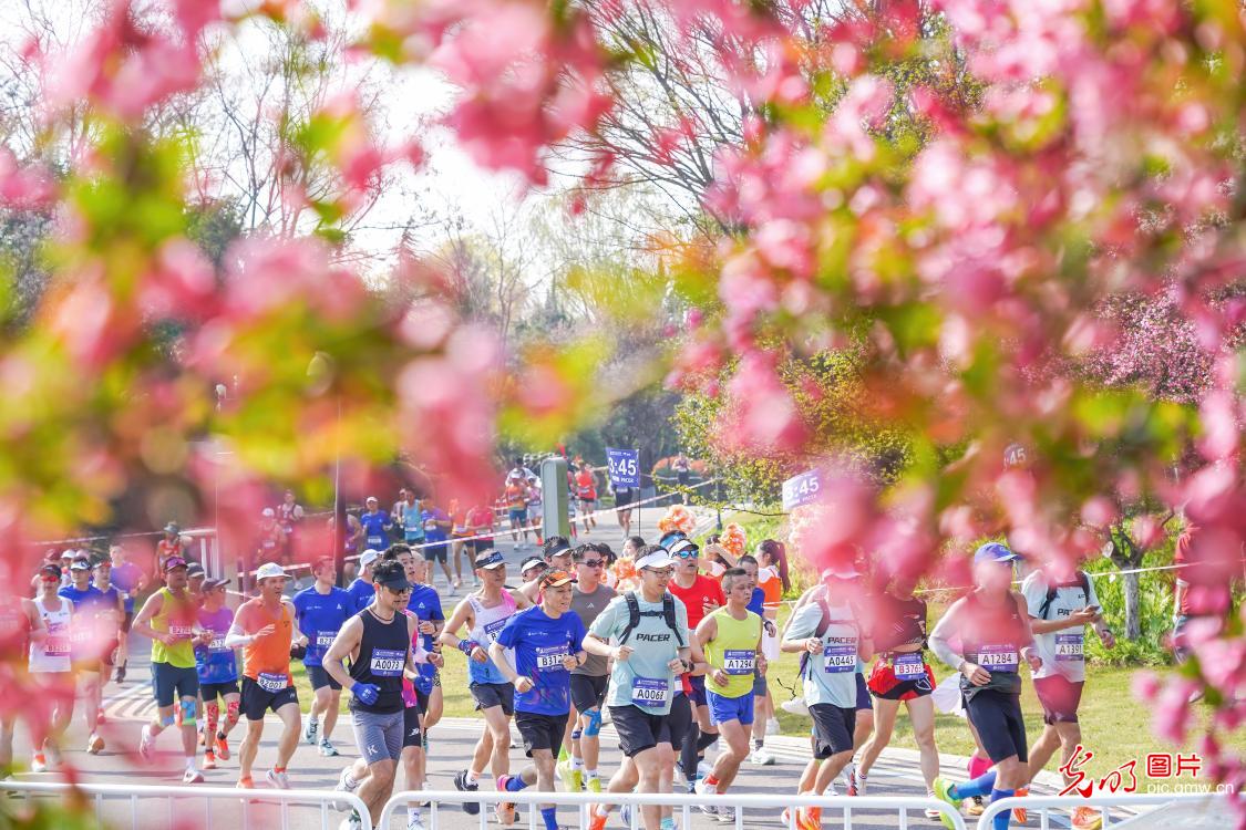 花间奔跑 打卡春天