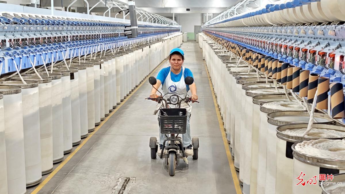 纺线织就发展新图景