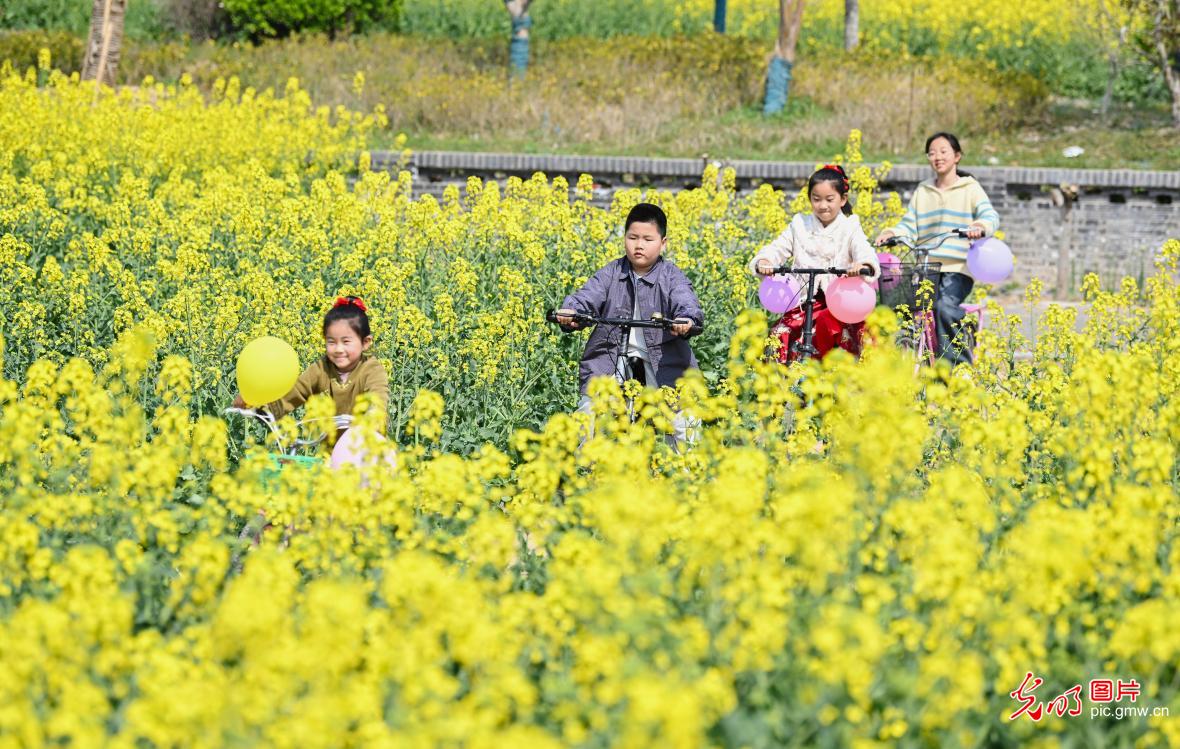 春日繁花缀山河 共赴人间好风光