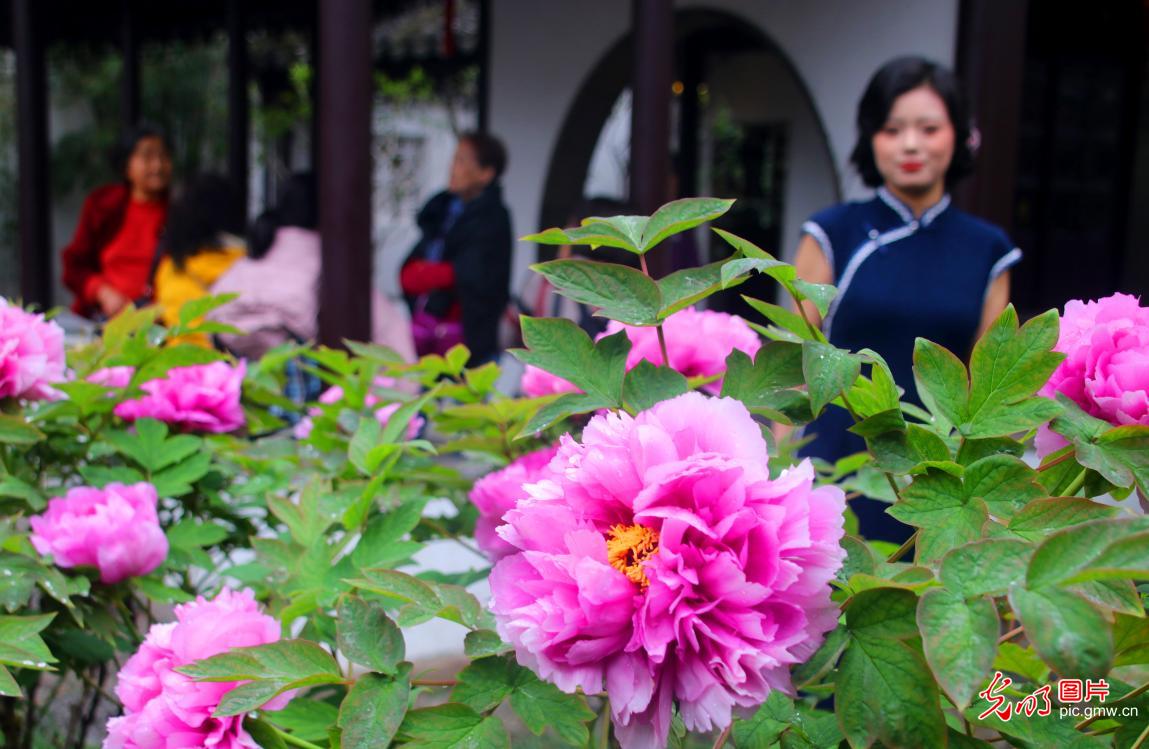 春日繁花缀山河 共赴人间好风光