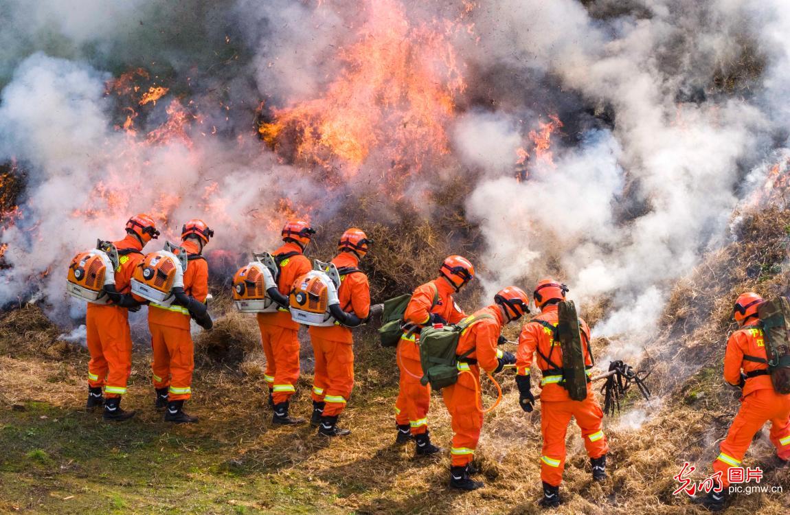 实战实训砺精兵