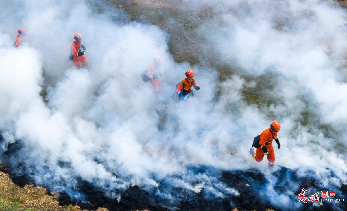 实战实训砺精兵