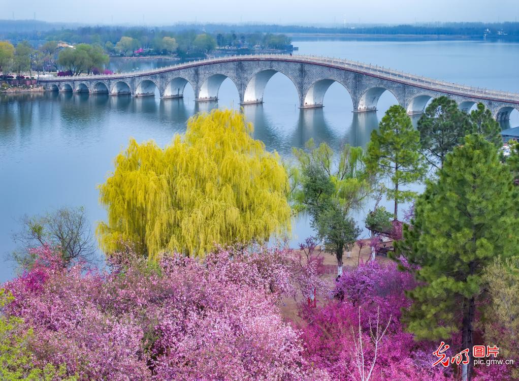 烟雨双湖 春景如画