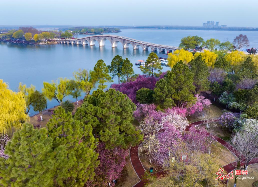烟雨双湖 春景如画