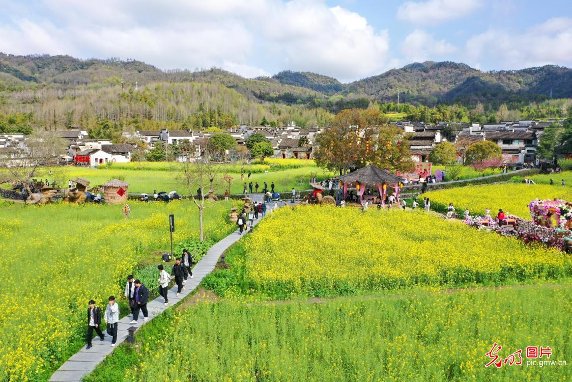 春假拾趣 不负好时光