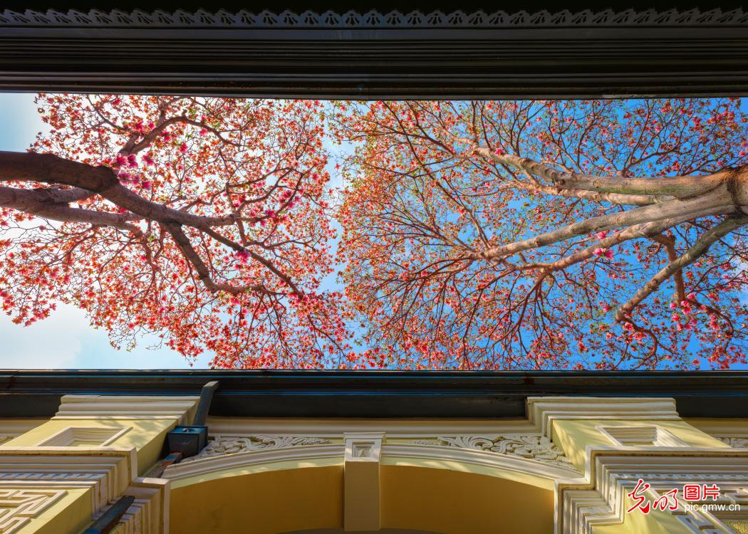 以花为信 交换春天