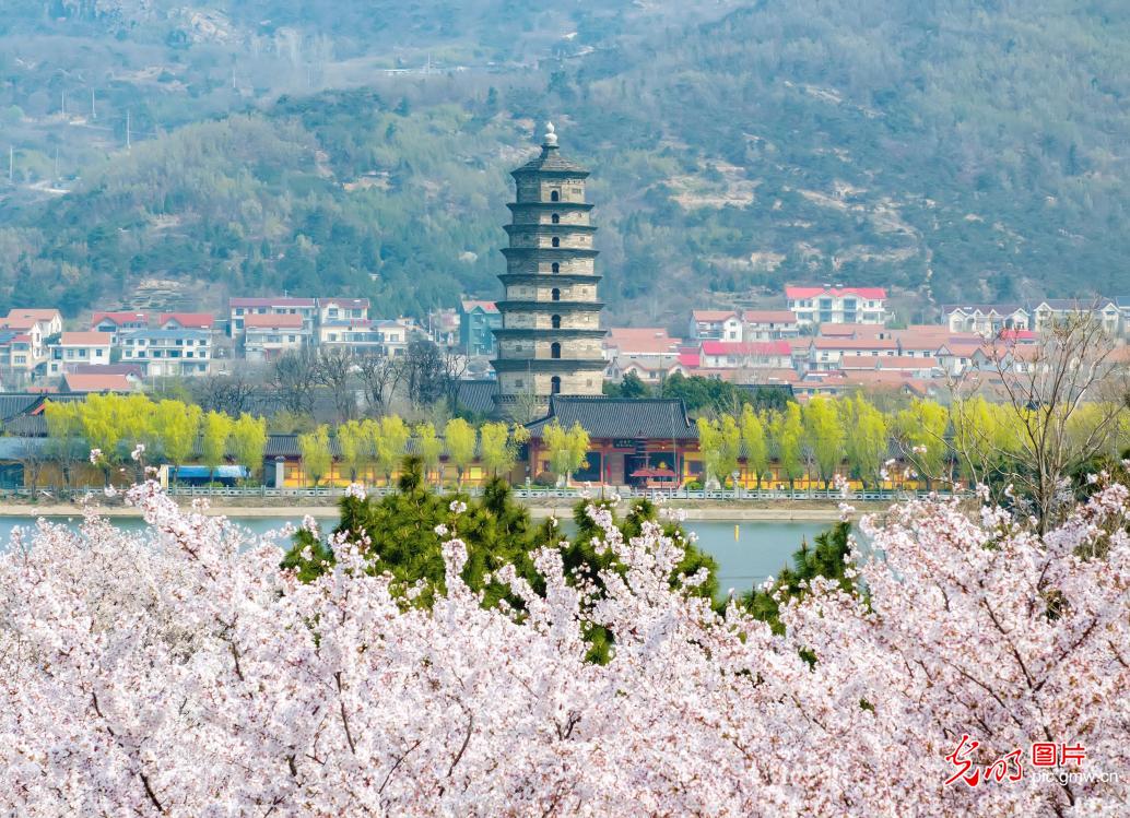 以花为信 交换春天