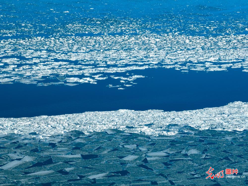 【AIGC动画】一色一风景 大地尽芳华 【AIGC动画】一色一风景 大地尽芳华